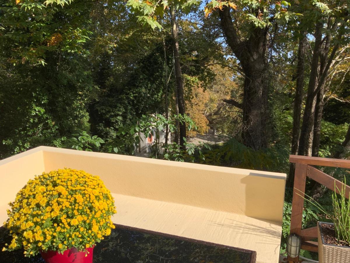 Pelion 7 Lives Villa Tsagarada Luaran gambar
