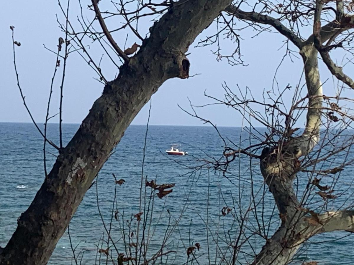 Pelion 7 Lives Villa Tsagarada Luaran gambar